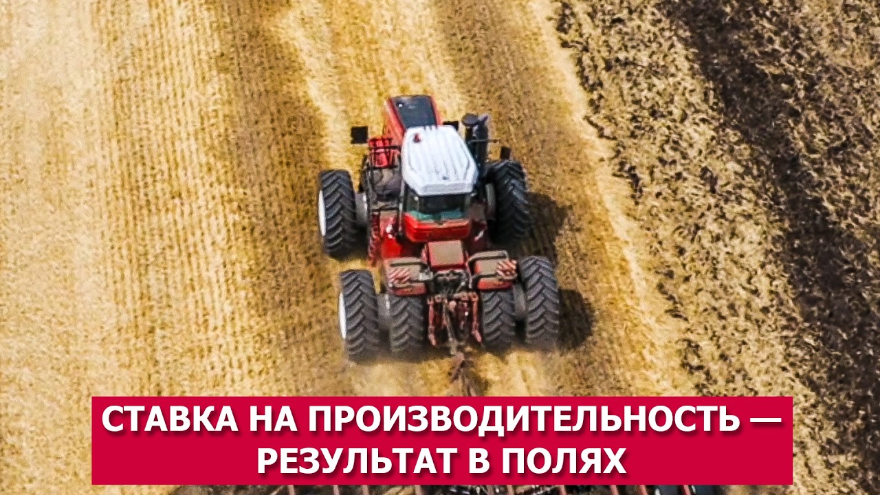 Ставка на производительность — результат в полях