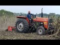Tafe tractor work in village field. #tractorvideo #tractorstunt #tractorworks