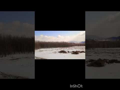 Бабушки и дедушки покос.#россия,#покос,#shorts,#чиндалей,#горы,#природа,#nature,#сенокос,#весна,#топ
