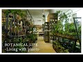 【観葉植物】洗練された「大人の園芸店」が横浜エリアに新オープン!|Rust Yokohama|神奈川|横浜|植物店巡り|横浜ベイクォーター|BAY QUARTER YOKOHAMA