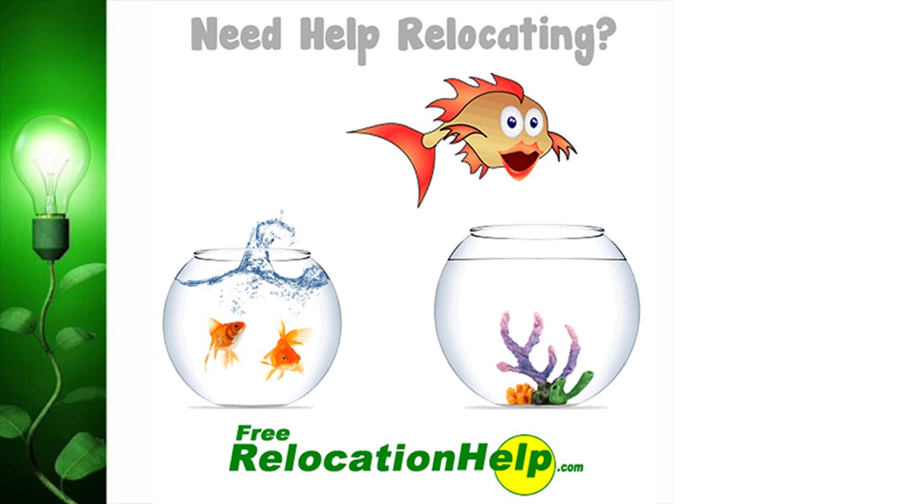 Free RelocationHelp