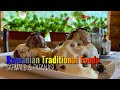🇷🇴 Travelling in Romania // Eating Romanian traditional foods Sarmale and Papanasi