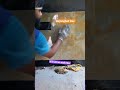 4/2 kichen wall tiles fiting #shorts #ytshorts #bajrangbali #tiles #newshorts