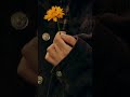 Until I found you-Bora Eh Phaw #coversong
