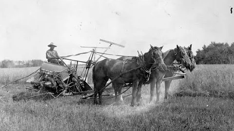 The Forgotten Narrative: Racism and Internment in Canada