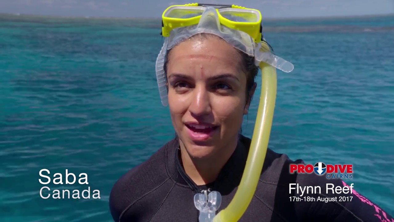 Pro Dive Cairns Liveaboard Trip 1618th August 2017 YouTube