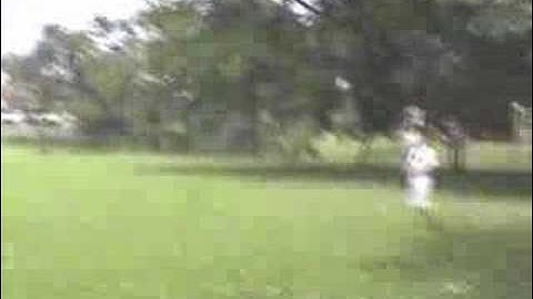 TRex 450XL HDE crash