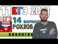 ЕГЭ 2021 | РОХЛОВ | 14 вариант | БИОЛОГИЯ