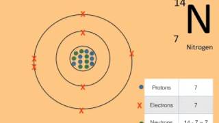 Y10 Revision Section 1