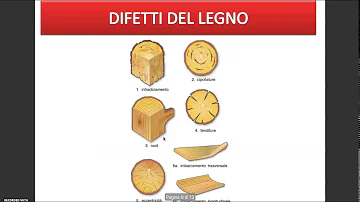 Cosa sono le Cipollature del legno?