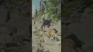 7 Minutes of Silent Mountain Lake Hiking - Out Tomorrow