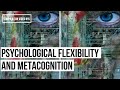 心理的柔軟性とメタ認知の紹介（編集ビデオNº5）