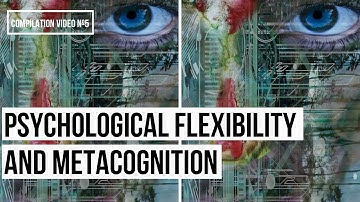 An Introduction to Psychological Flexibility and Metacognition (Video Nº 5, Series #1)