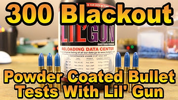 300 BLK - Powder Coated Bullets with Lil
