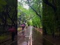 Monsoon of IIT Bombay 🥰😍 #iitbombay #viral