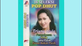 Trisna Levia - Cinta Rahasia
