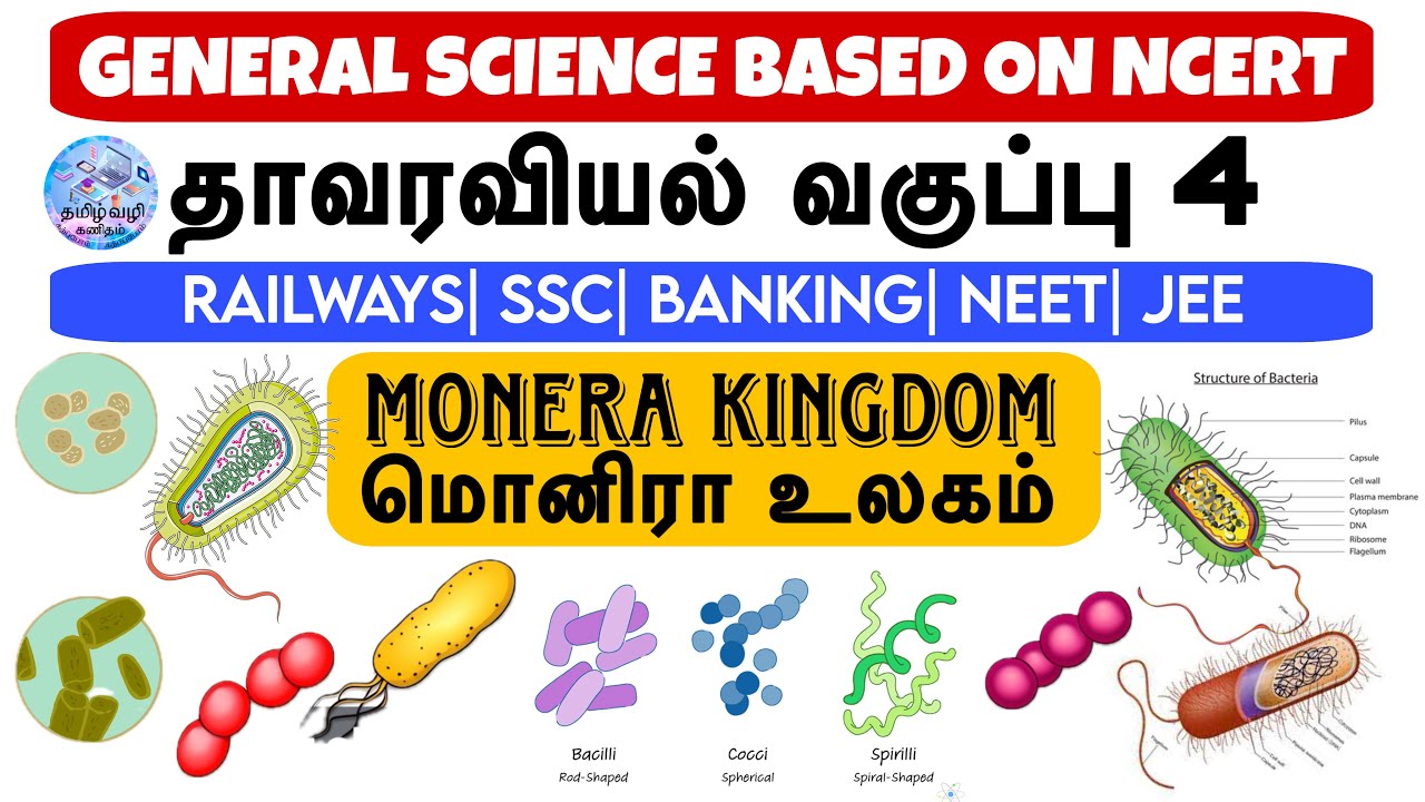 MONERA KINGDOM (மொனிரா உலகம்)| BOTANY(தாவரவியல்) CLASS 4| CLASSIFICATION OF  ORGANISMS IN TAMIL