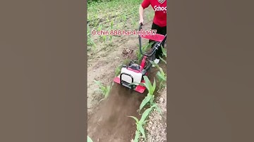 Máy vun ngô xới đất làm cỏ lên luống ngô 150F 30kg.#mayvunngo #maylamco #mayvungoc #maylenluong #ahm