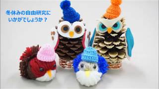 【保育】まつぼっくりを使った簡単な製作アイデア