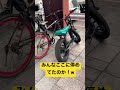ファットバイクの溜まり場 #Shorts