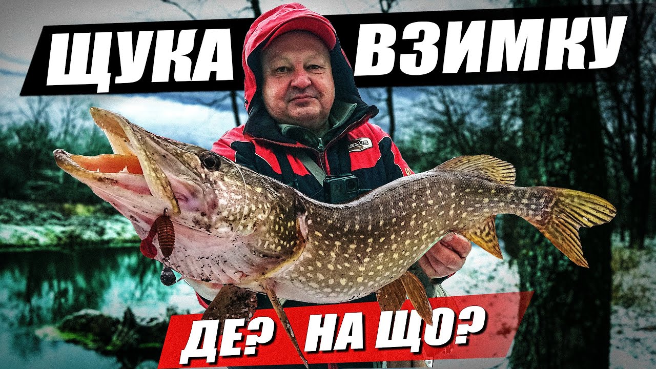 Як підібрати приманку на щуку? Що важливіше: колір чи розмір?