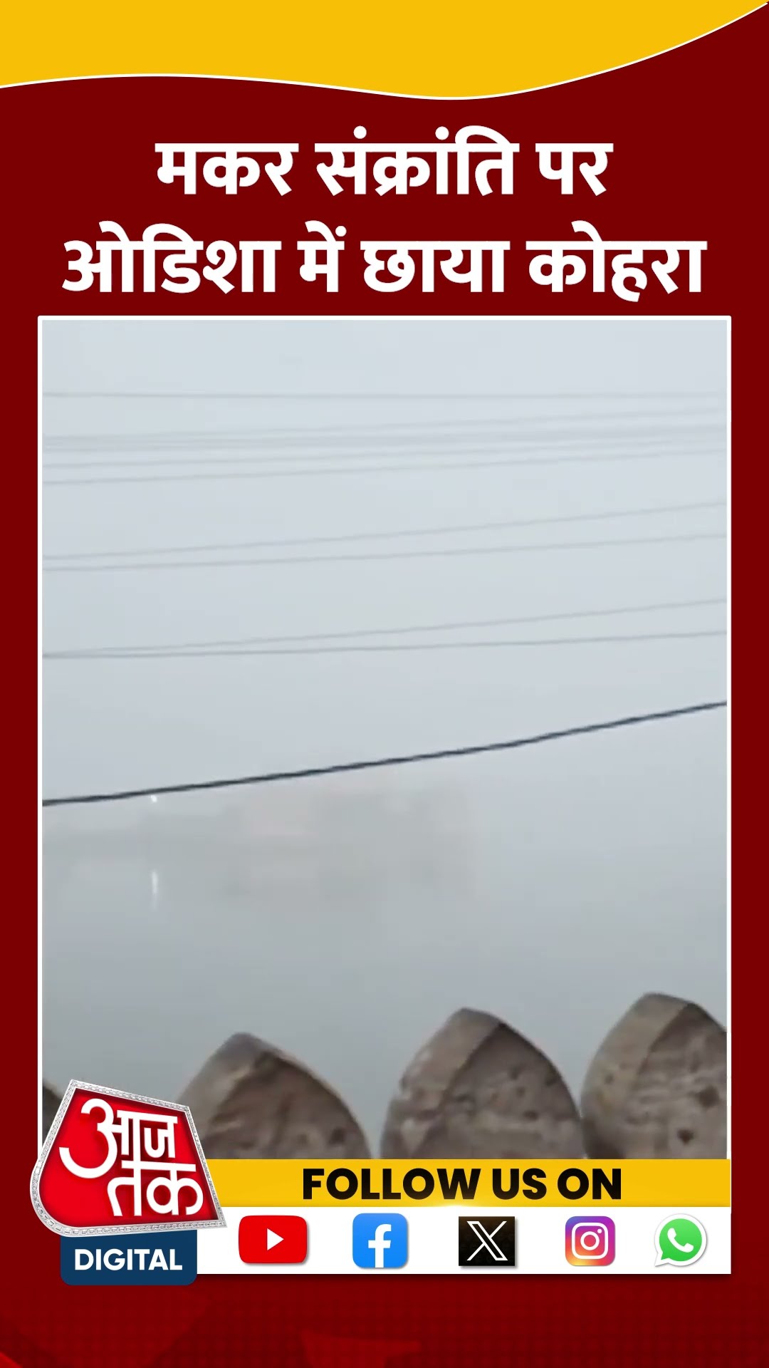 Makar Sankranti पर Odisha में छाया कोहरा | #makarsankranti #odisha #shorts #shortsviral