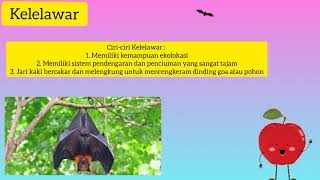CIRI-CIRI KHUSUS HEWAN & HABITATNYA || Muatan IPA Kelas 6 Semester 1