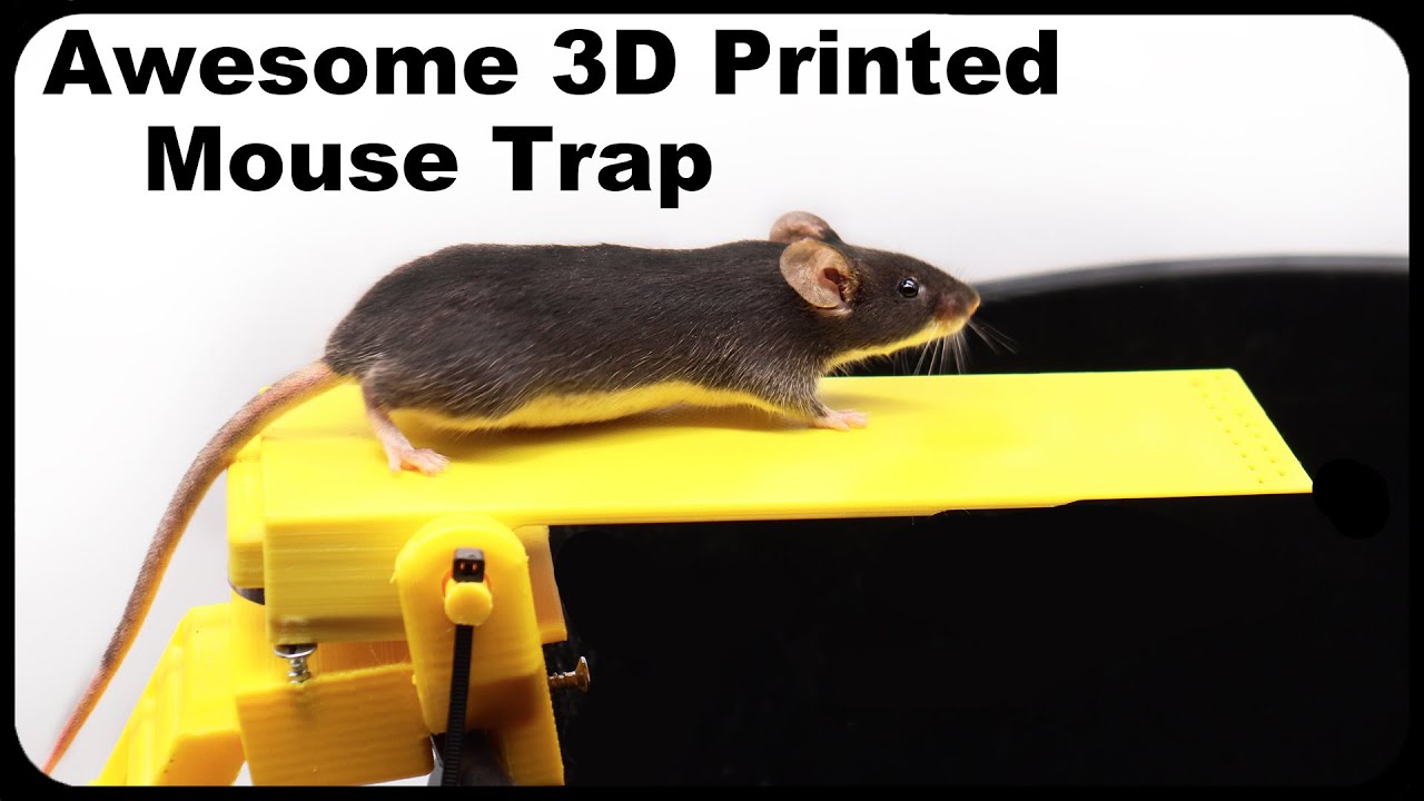 Dizzy Dunker - The World's Greatest Mouse Trap. Mousetrap Monday