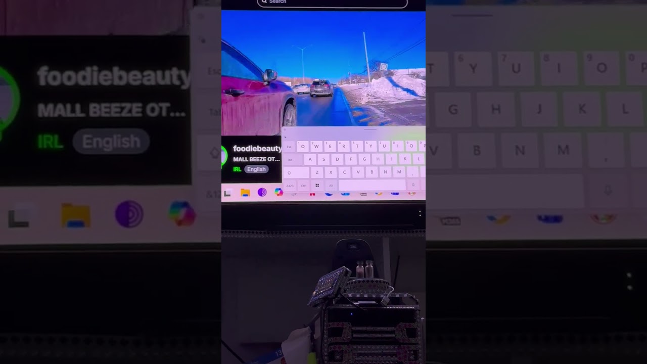 Foodie was told by 2 security guards to stop filming so she did. And was illegally on the road 