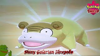 *Sips Water* | Shiny Galarian Slowpoke Reaction (90th Shiny)