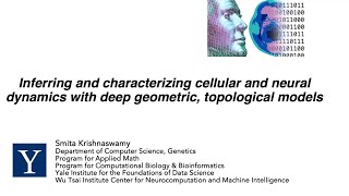 BrainMap: Mapping brain dynamics and trajectories with geometric and topological machine learning