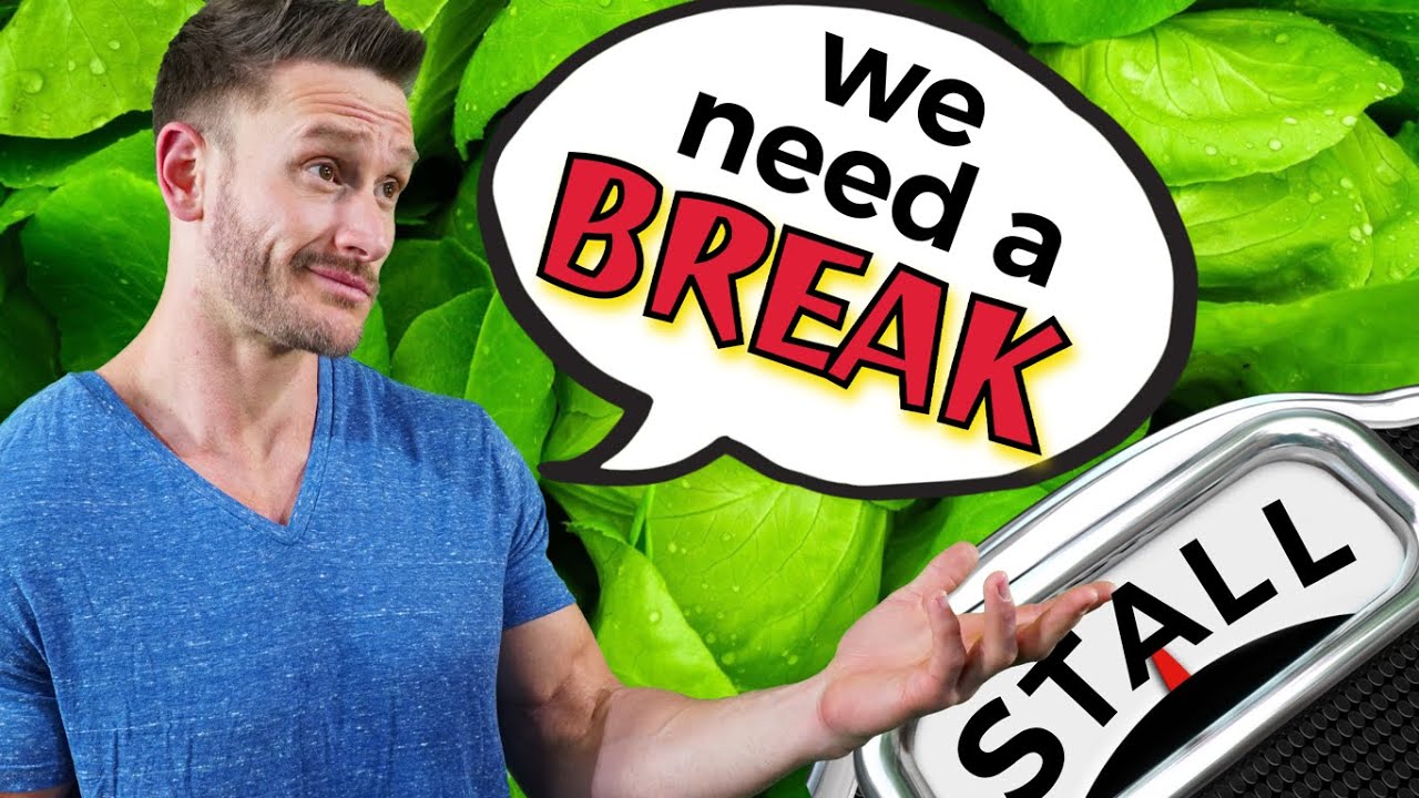 Signs That You NEED to STOP Your Diet (Taking a 2-Week Break)