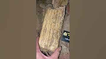 Diệt mối tận gốc ‘0984109968 #dietmoibacninh #topgamedoithuonguytin #thinhhanh #dietmoitangoc