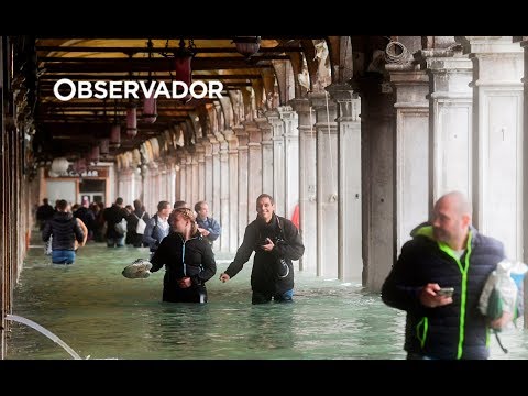 Vídeo: Veneza Debaixo De água Na Pior Inundação Desde 1979