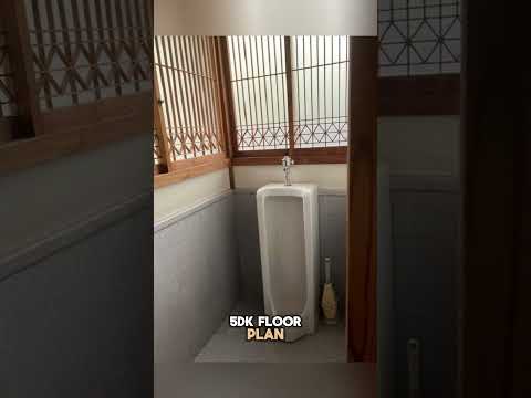 Cheap Luxurious House
