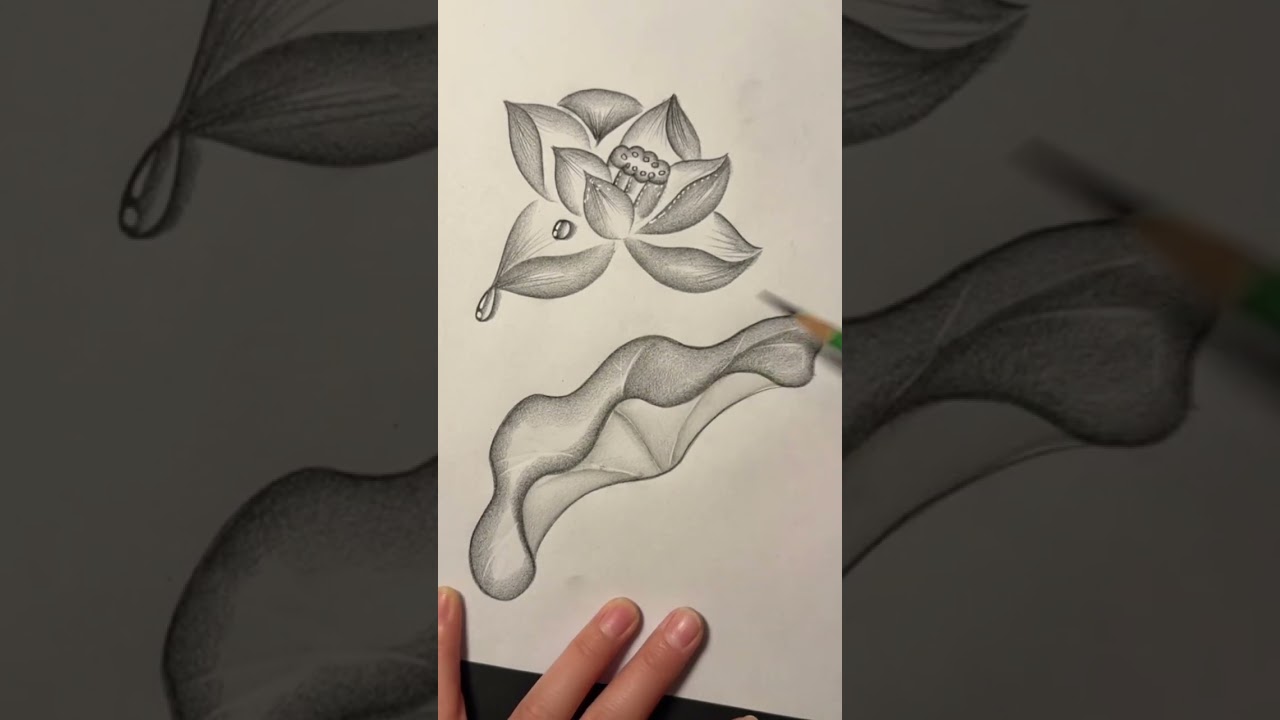 Charcoal Drawing Tutorial: Learn Charcoal Drawing Step by Step 