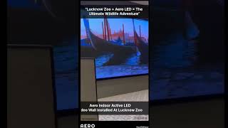 Aero LED Installation At Lucknow Zoo I Innovating The Zoo Experience I #lucknow #nature #wildlife