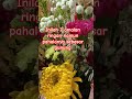 amalan ringan tapi pahala sebesar gunung