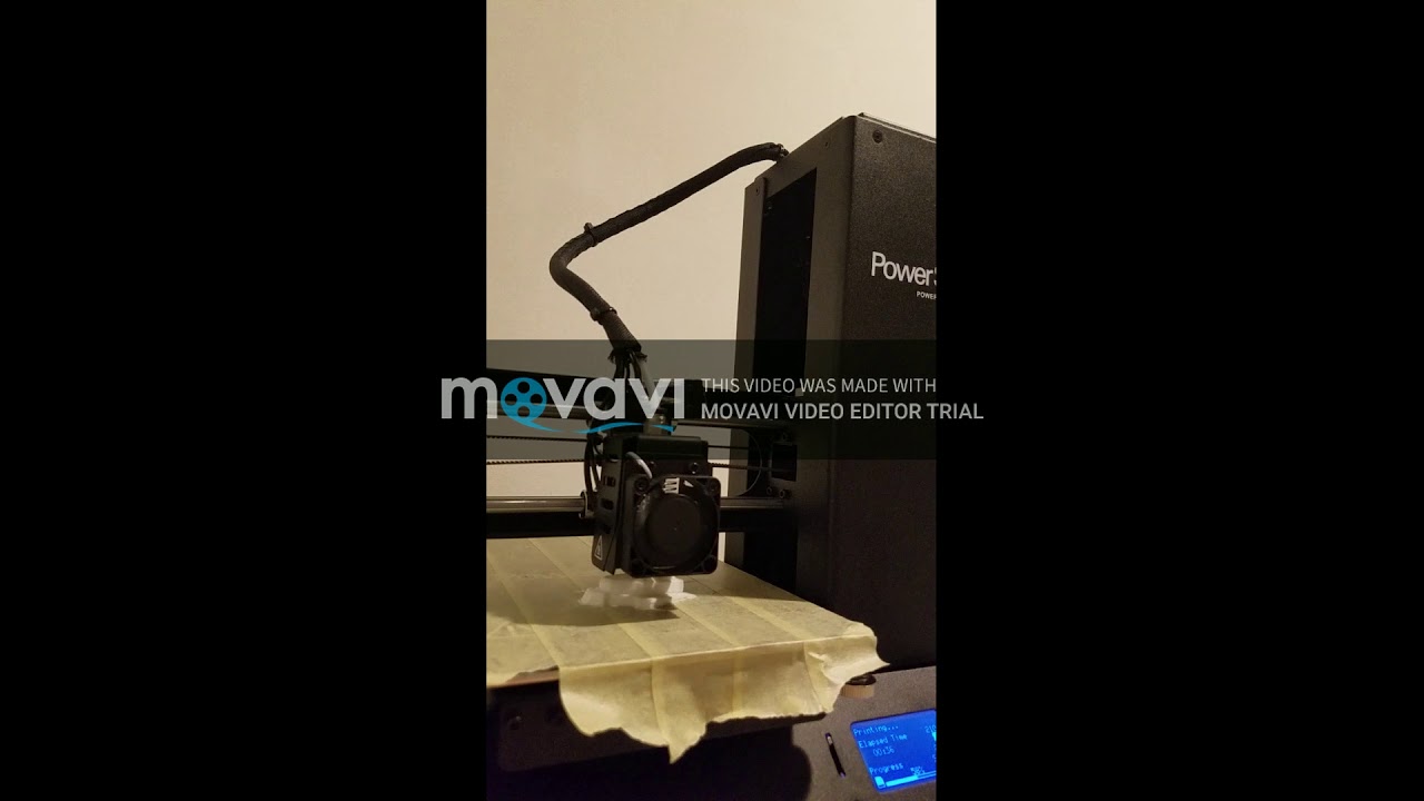 Nittnany Lion 3D Print Time lapse