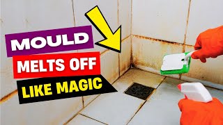 Best Way To Clean Shower Grout And Remove Mould & Mildew Quickly