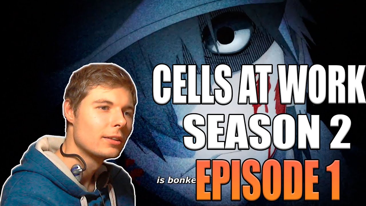 Cells At Work Hataraku Saibou Season 2 Episode 1 Reaction Youtube