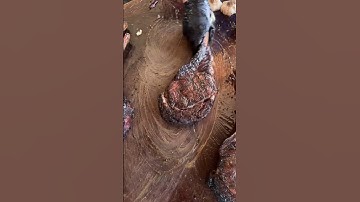 APL Barbecue x  @ginrummybarSat& Sun Jan 18th & 19th12:30 until soldout 822 Washington BlvdVenice,CA