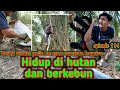 Persiapan lebaran⁉️ petualangan mengambil bambu untuk lemang | Warta petani muda hidup di hutan