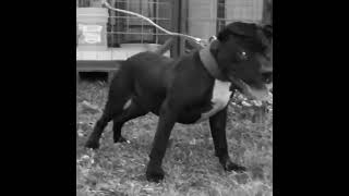 Eli Mayday Jeep At Its Finest.