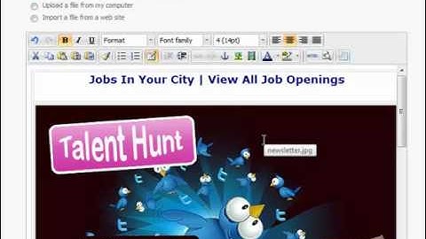 Design Your Own HTML Email Using Email Marketing Tool