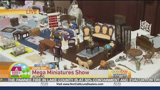 Mega Miniatures Show