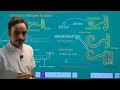 "Nitrogen Fixation & Assimilation: From Bacteria to Plants"