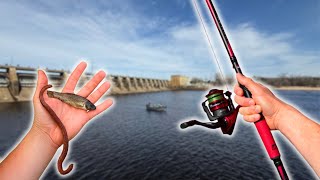 Fishing With Live Bait For Whatever Bites