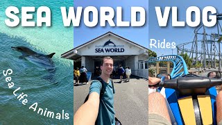SEA WORLD VLOG on the Gold Coast of Australia | Rides, Animals, Shows + More
