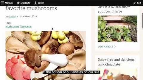 Media Library in Drupal 8.7